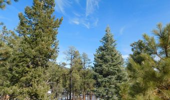 Lot 29 Eric Lane, Alpine, AZ 85920