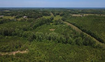 Tucker Road lot 13, Bath Springs, TN 38311