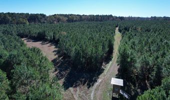 57 40 Acres-TBD Cades Rd, Cades, SC 29518