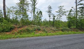 671 Penlan Rd Lot 2, Arvonia, VA 23004