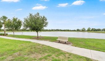 6214 Sea Amber Ln, Apollo Beach, FL 33572