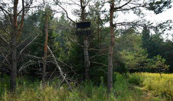 9537 LAKEVIEW Rd, Alanson, MI 49706