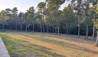 607 Odom Point Rd, Bee Branch, AR 72013