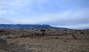Private Drive 1725 lot 21 & 22, Abiquiu, NM 87064
