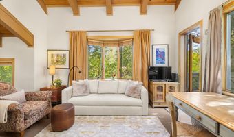 125 E Hyman Ave 1A, Aspen, CO 81611