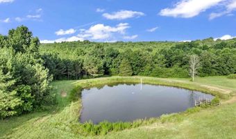 1604 COUNTY ROAD 80, Addison, AL 35540