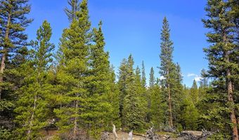 PCS # 7765 & 12057 Rollies Trail lot 0, Alma, CO 80420