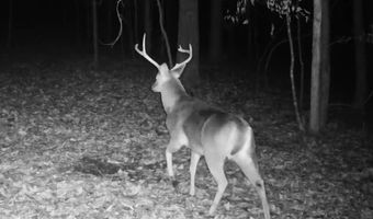 15548 Highway 15 N, Ackerman, MS 39735