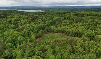 6020 Eaglewood Ln, Birchwood, TN 37308