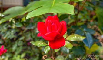 91 Haw Creek Cir, Asheville, NC 28805