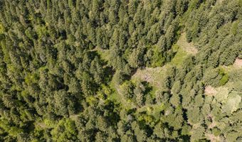 Nhn Red Hawk Drive, Bigfork, MT 59911