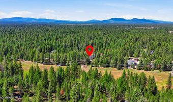10239 E Bunco Rd, Athol, ID 83801