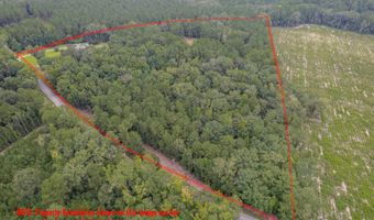 1582 Santee Rd, Andrews, SC 29510