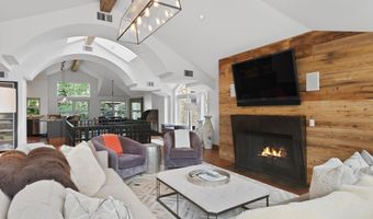 925 E DURANT Avenue 2, Aspen, CO 81611