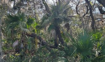COUNTY ROAD 445A, Astor, FL 32102