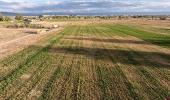 9001 2100 Rd, Austin, CO 81410