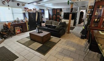8 Buckhorn Ct, Austin, NV 89310