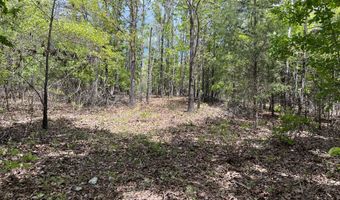 County Road P-309, Alton, MO 65606