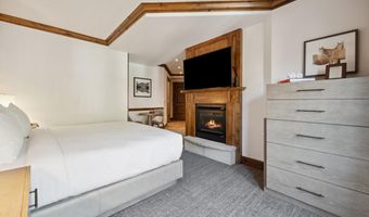 415 E Dean St Unit 45 Week 12, Aspen, CO 81611