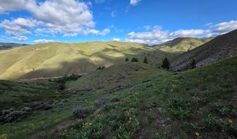 NKN E Tower Creek Road, Carmen, ID 83462