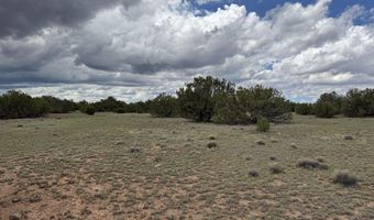 8 County Road 8080, Concho, AZ 85924