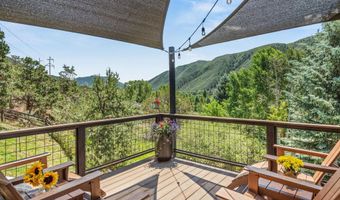 56 Booth Ln, Basalt, CO 81621