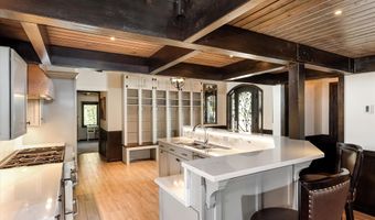 39 Roaring Fork Dr, Aspen, CO 81611