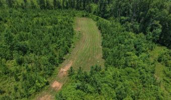 County Road 53, Banks, AL 36005
