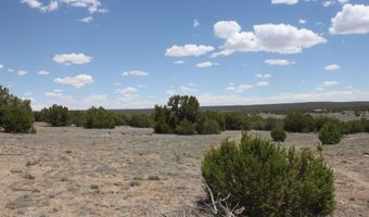 N8190, Concho, AZ 85924