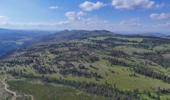 381 OLD CAMP Rd, Bellvue, CO 80512