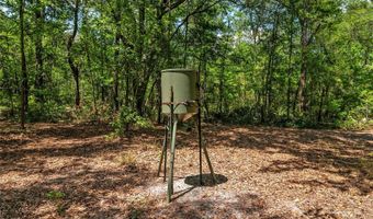 4814 NW 244 Ave, Alachua, FL 32615