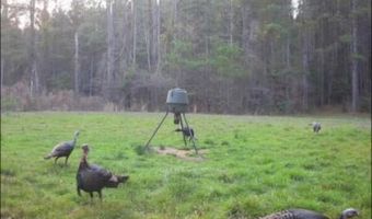 SE Union Road, Brookhaven, MS 39601