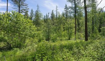 477 Chief Cliff Trl, Bigfork, MT 59911