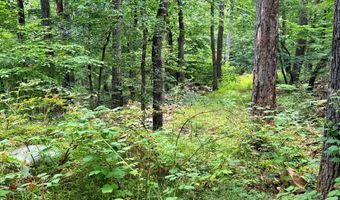 TR D-15 DEER PATH Road, Augusta, WV 26704