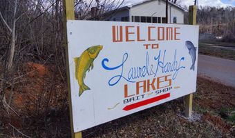 503 Laurel And Hardy Lake Rd, Marietta, SC 29661