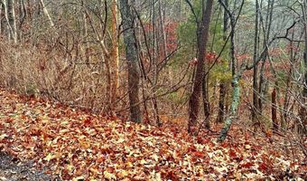 SPITZ Lane, Basye, VA 22810