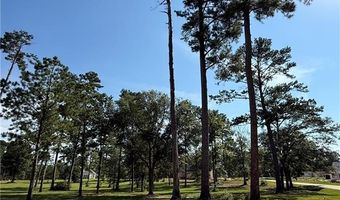 133 CHINAWOOD Dr Lot 459, Abita Springs, LA 70420