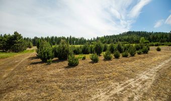Nna Holmes Rd, Bonners Ferry, ID 83805
