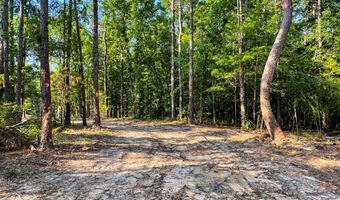 0 Backway Rd, Lincolnton, GA 30817
