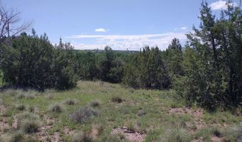 70 County Road 5054, Concho, AZ 85924