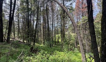 Tbd Hilltop Road 43 & 44, Cascade, ID 83611