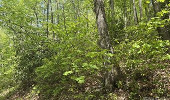 999999 Harwood Rd 2, Barnardsville, NC 28709