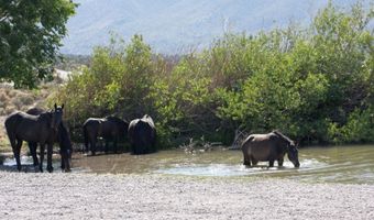 159 Eagle Nest Cir, Cold Creek, NV 89124