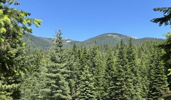 2216 Mosquito Creek Rd, Clark Fork, ID 83811