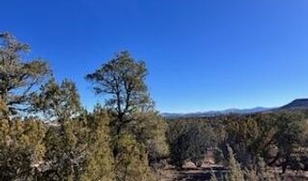 N8689 lot 002P, Concho, AZ 85924