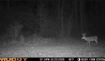 U.S. Highway 51, Bogue Chitto, MS 39629
