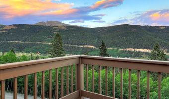 1095 QUARTZVILLE, Alma, CO 80440