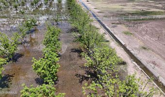 557 Aldaz Rd, Anthony, NM 88021