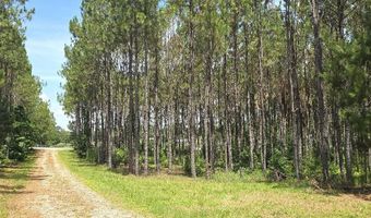 10333 NW 132ND Dr, Alachua, FL 32615