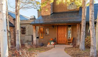 506 Wild Spring Ln, Basalt, CO 81621